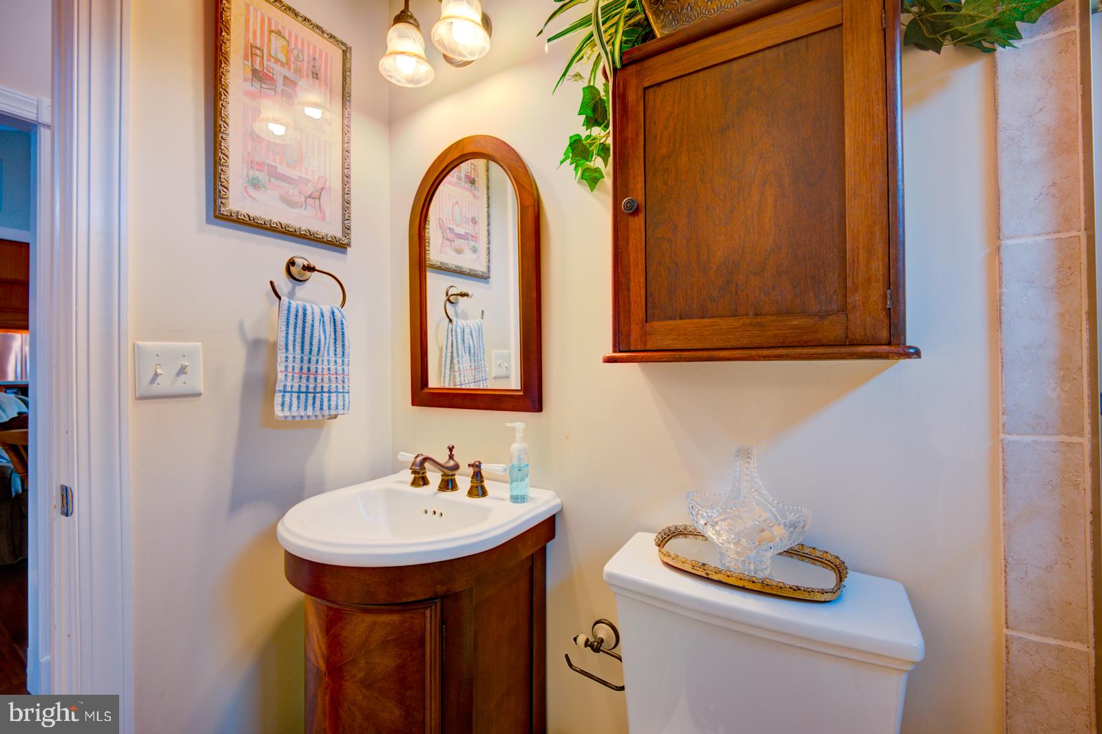 6542 Pine Stake Road Culpeper, VA 22701 - Photo 40 of 113 Charming bathroom with elegant fixtures.