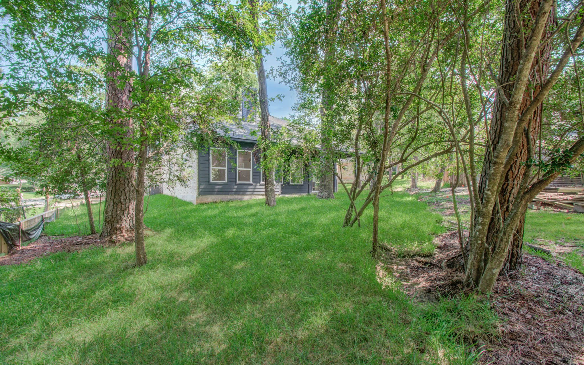 1802 Rollingwood Drive Huntsville, TX 77340 - Photo 32 of 38 a view of a yard with plants and large trees