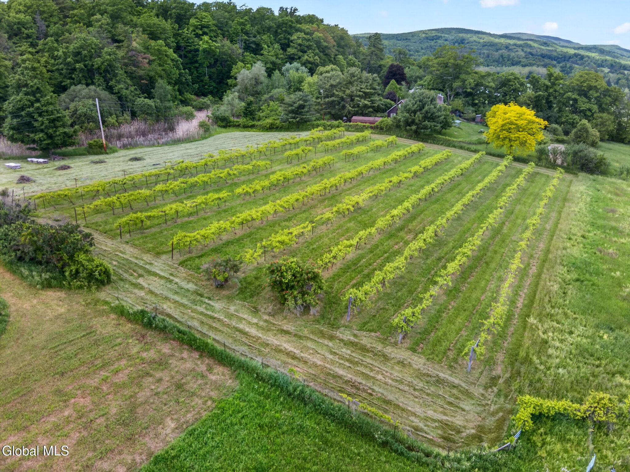 146 Biechman Road Coeymans, NY 12143 - Photo 53 of 57 53-web-or-mls-053-DJI_0598