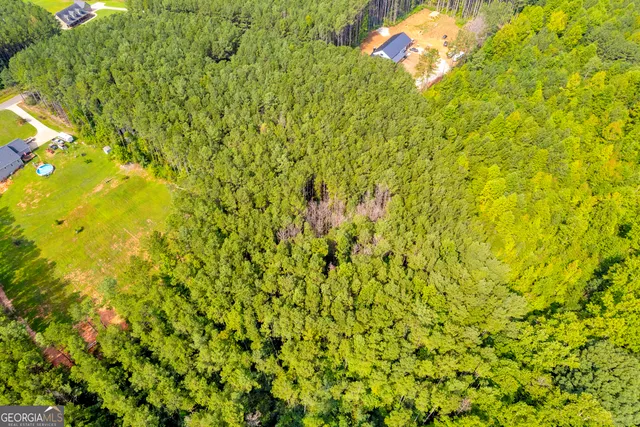 a view of a tree with a yard