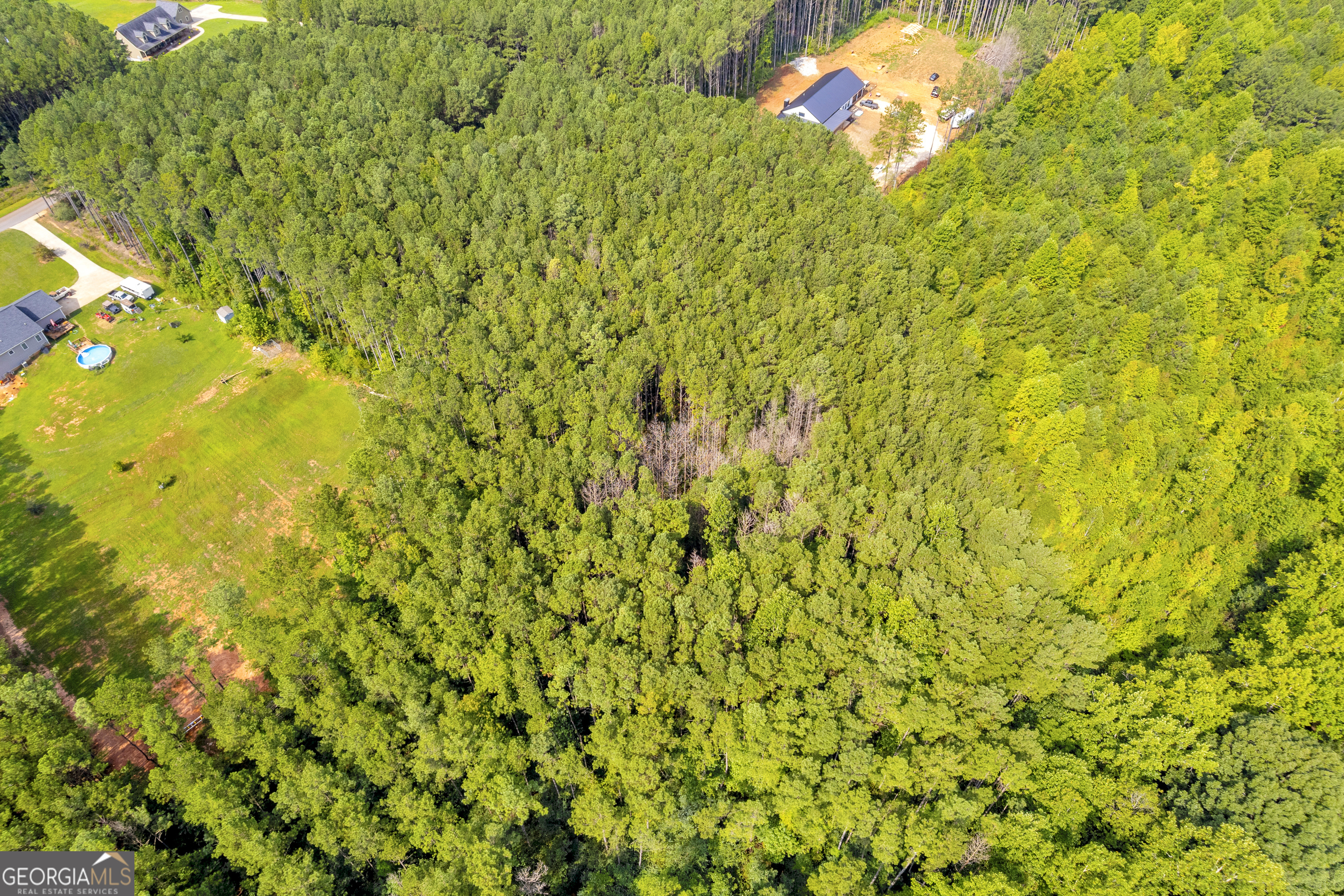 0 Moonlight Drive Toccoa, GA 30577 - Photo 11 of 23 a view of a tree with a yard