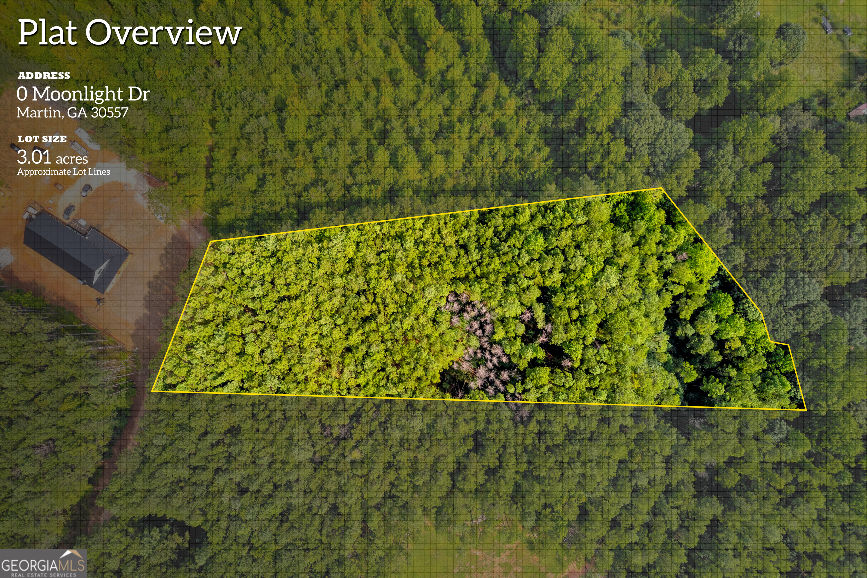 0 Moonlight Drive Toccoa, GA 30577 - Photo 12 of 23 a view of a garden