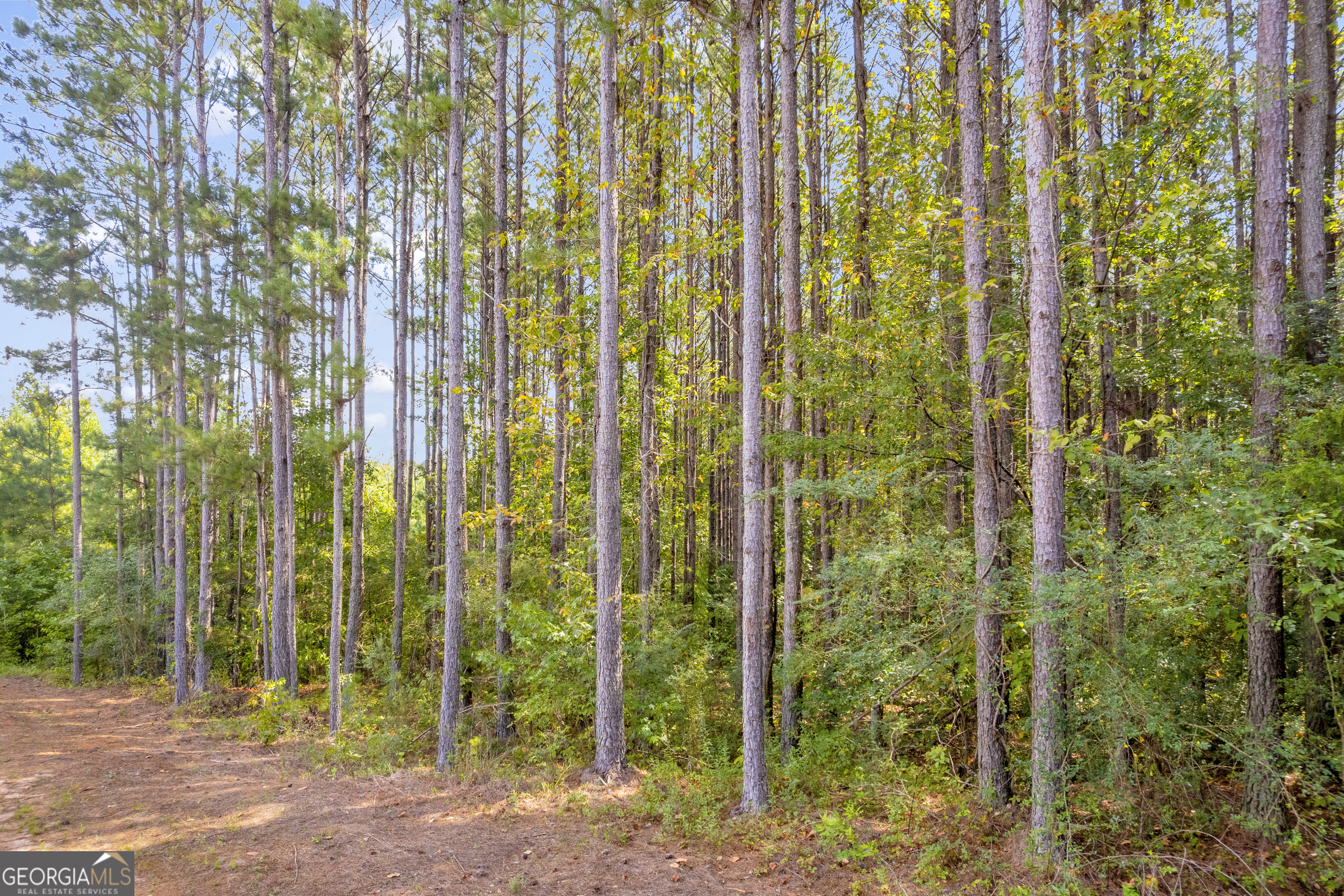 0 Moonlight Drive Toccoa, GA 30577 - Photo 2 of 23 a view of a garden