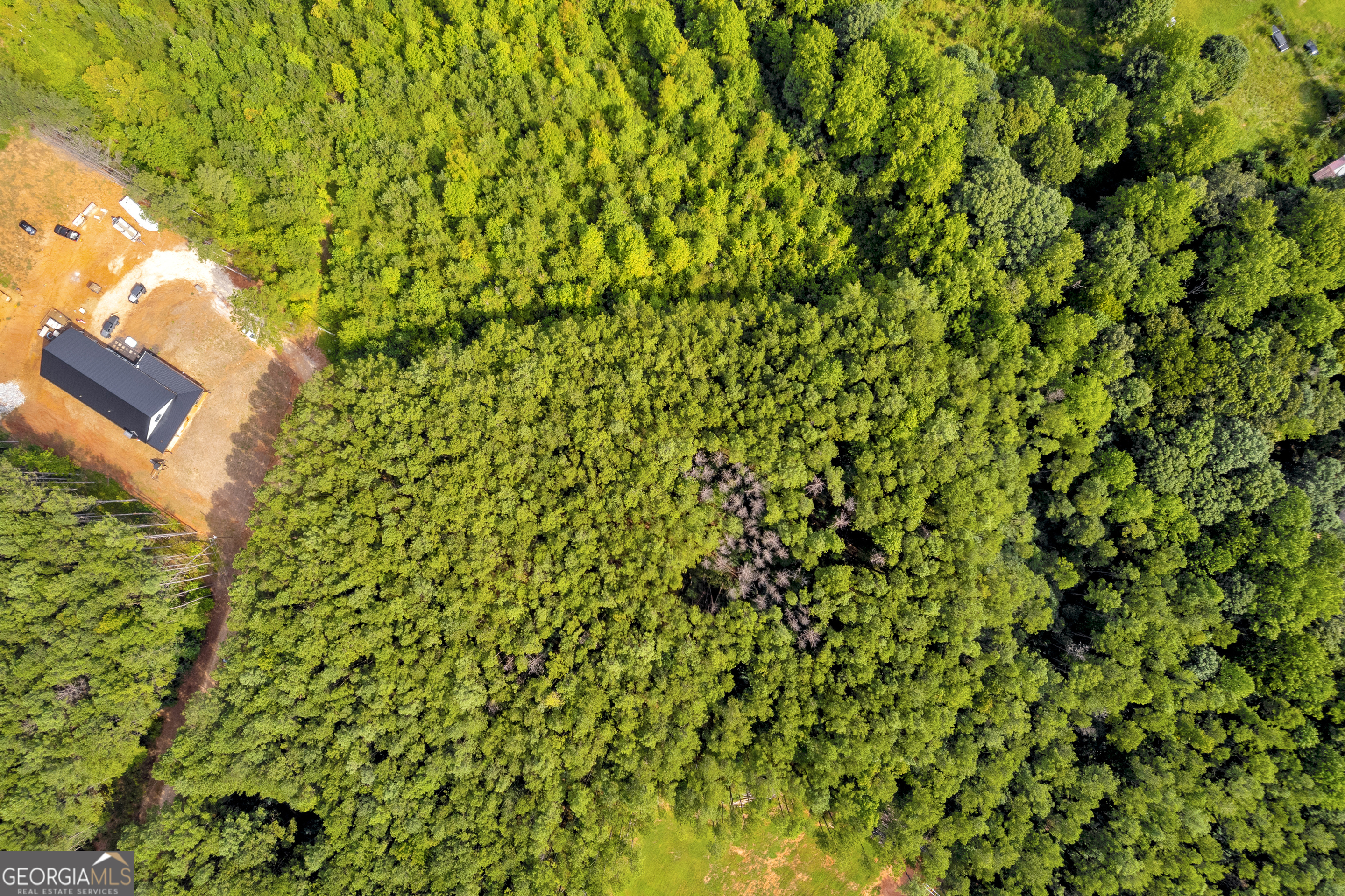 0 Moonlight Drive Toccoa, GA 30577 - Photo 23 of 23 a view of a yard