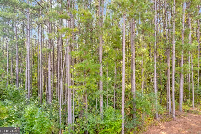 a close view of shower