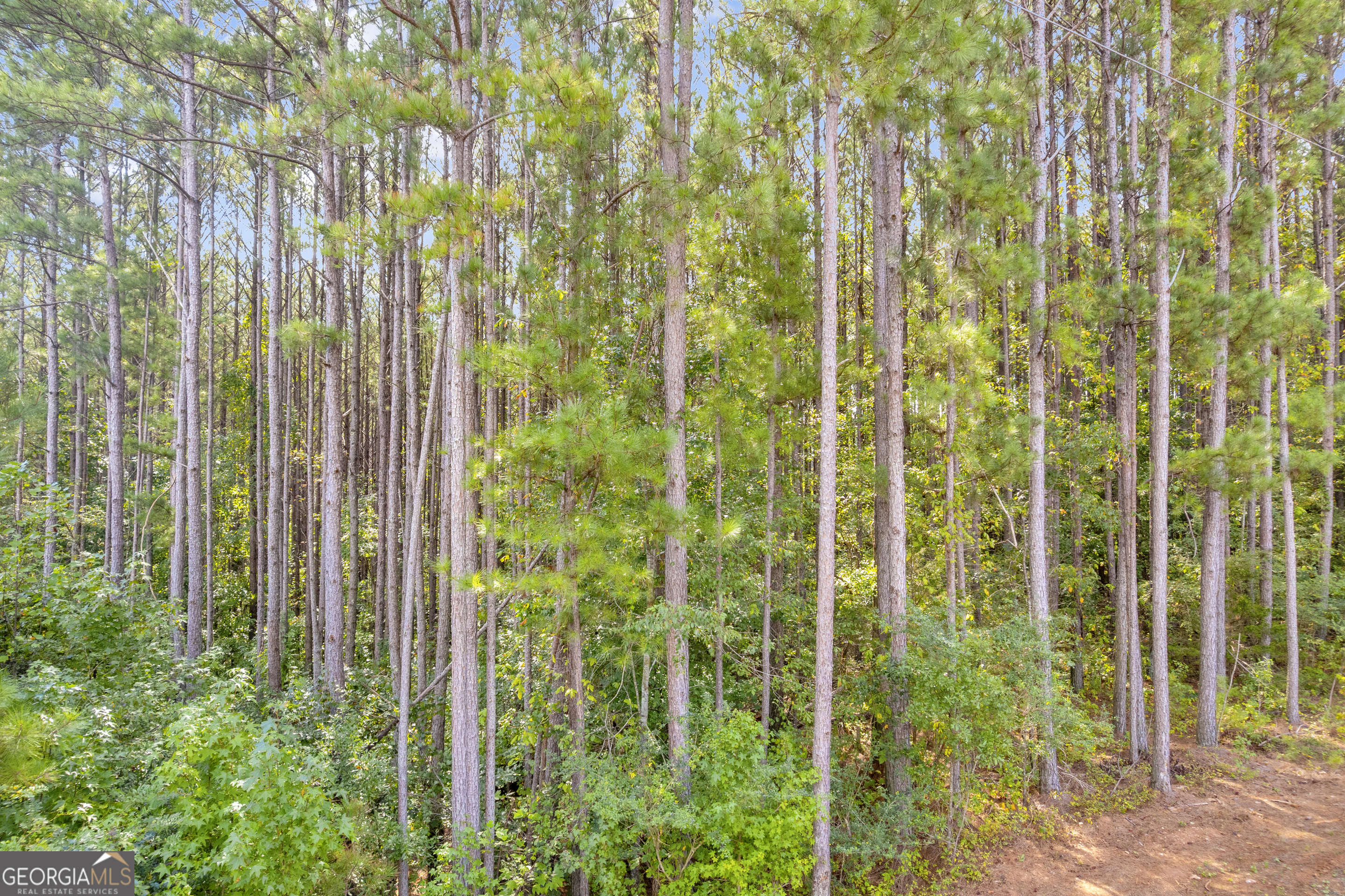 0 Moonlight Drive Toccoa, GA 30577 - Photo 3 of 23 a close view of shower