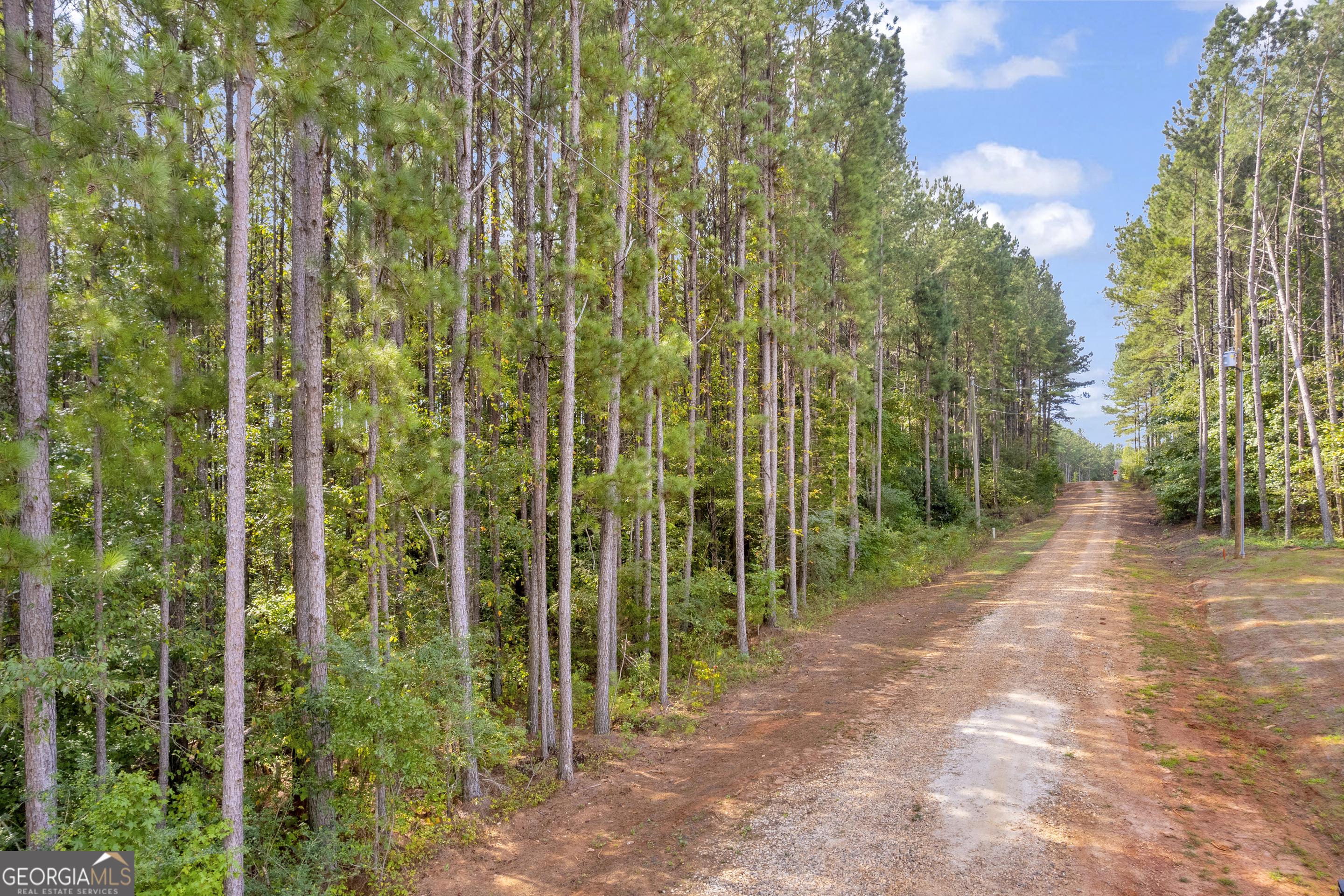 0 Moonlight Drive Toccoa, GA 30577 - Photo 4 of 23 a view of a garden with plants