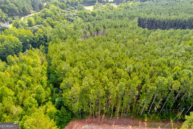 a view of a yard with plants and wooden fence