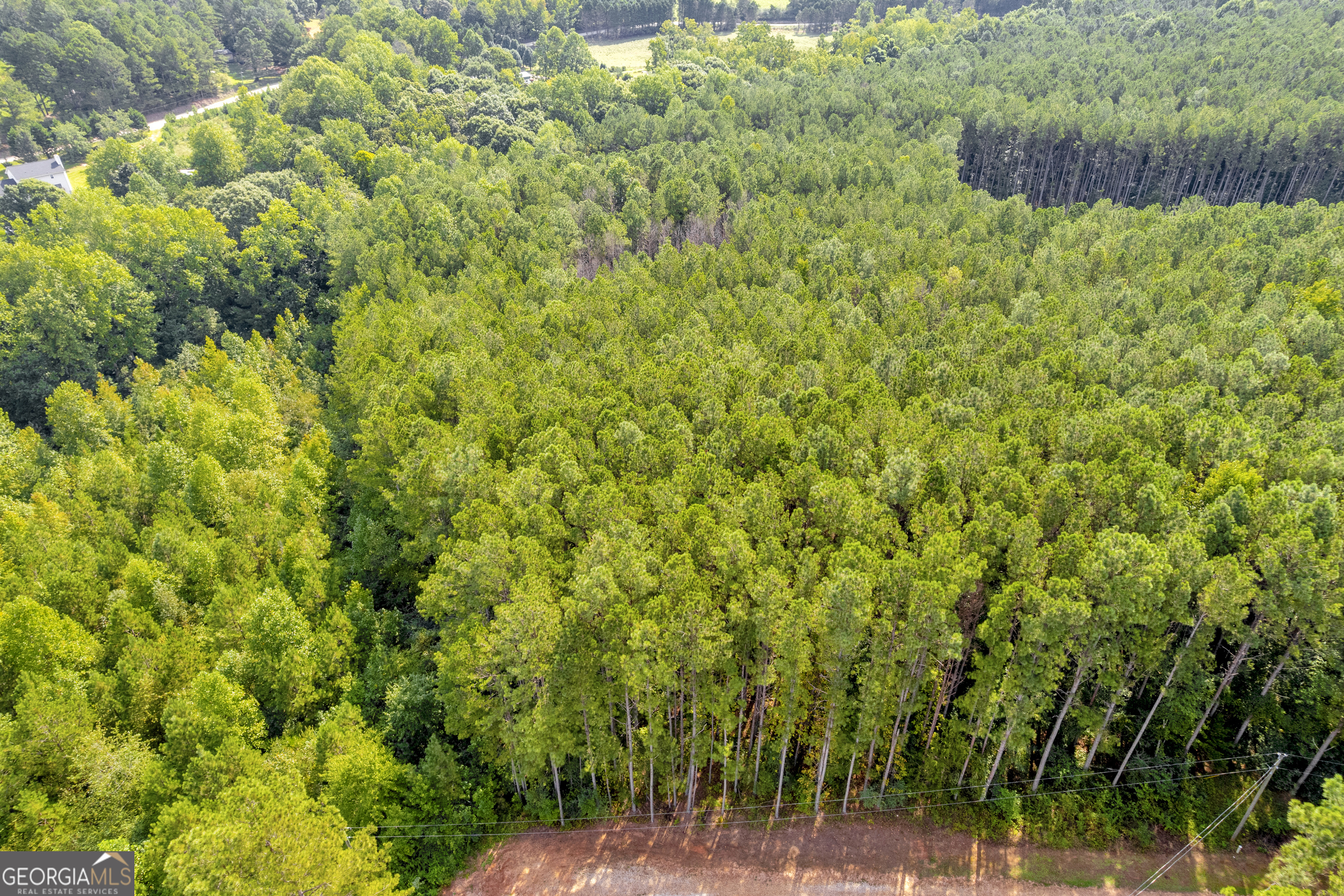 0 Moonlight Drive Toccoa, GA 30577 - Photo 5 of 23 a view of a yard with plants and wooden fence