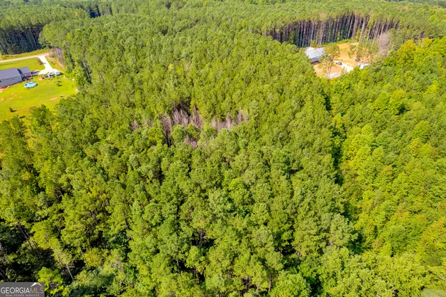 a view of a yard with a tree