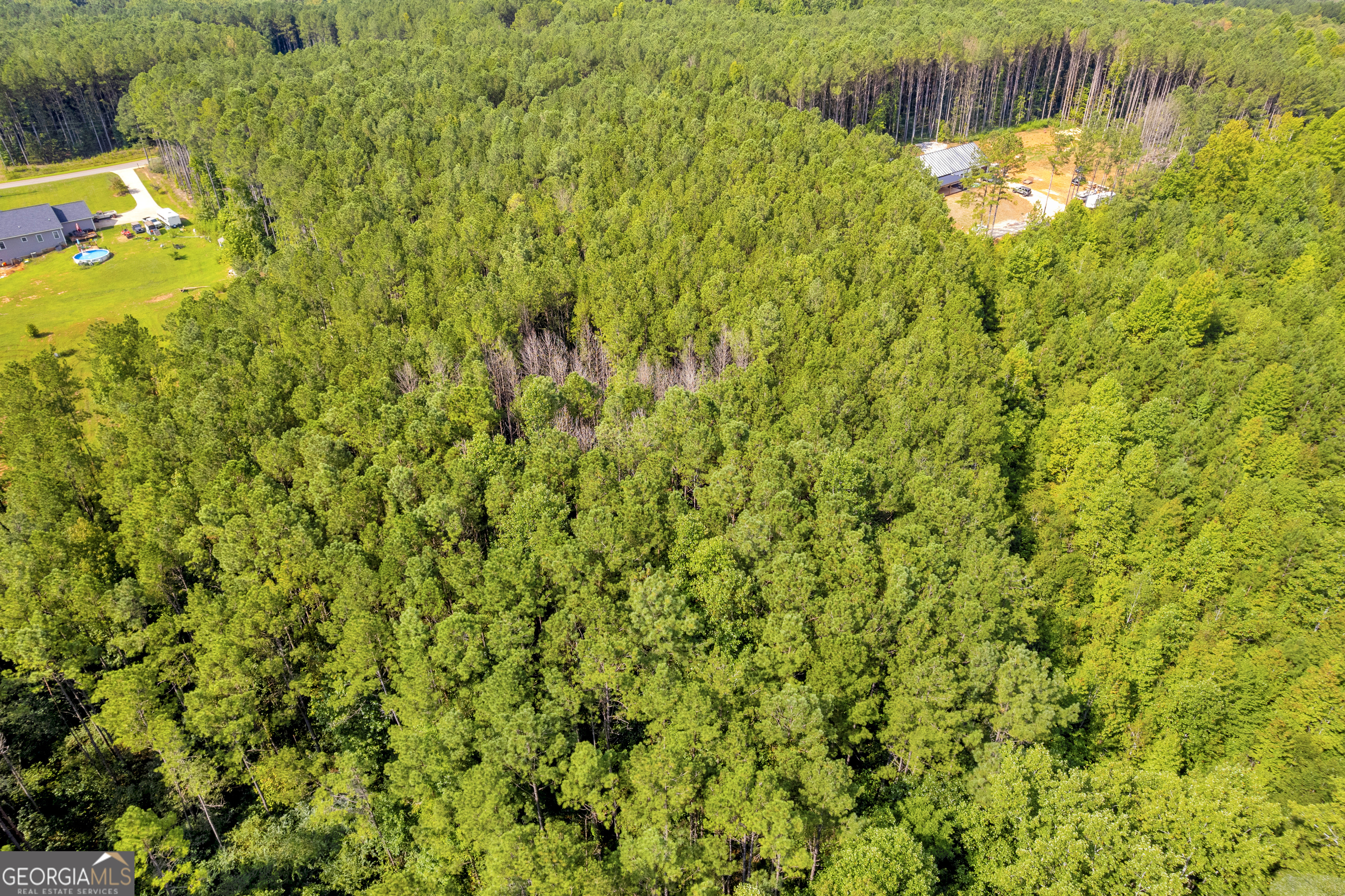 0 Moonlight Drive Toccoa, GA 30577 - Photo 7 of 23 a view of a yard with a tree