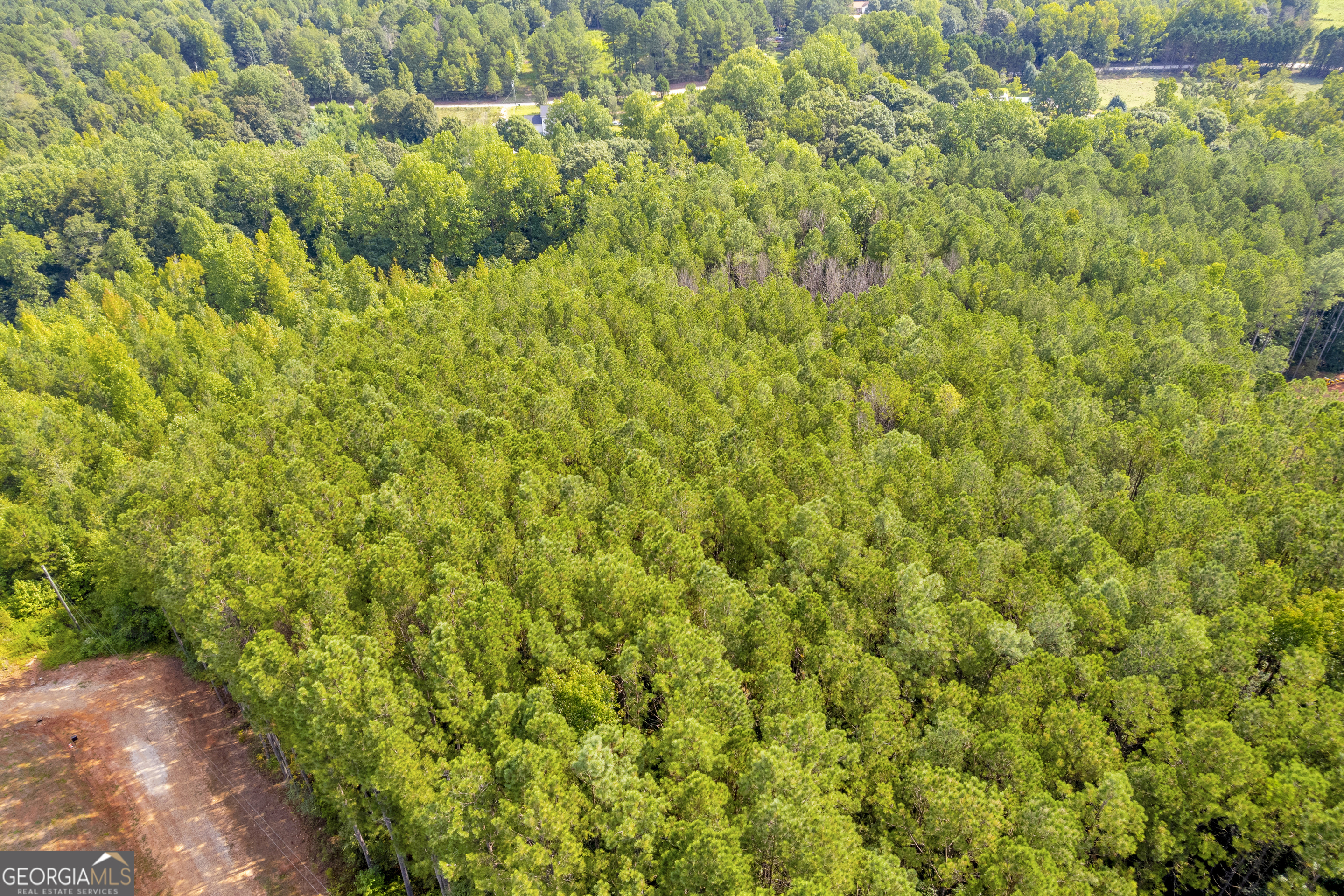 0 Moonlight Drive Toccoa, GA 30577 - Photo 8 of 23 a view of a big yard with plants and large trees
