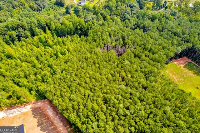 a backyard of a house with a tree