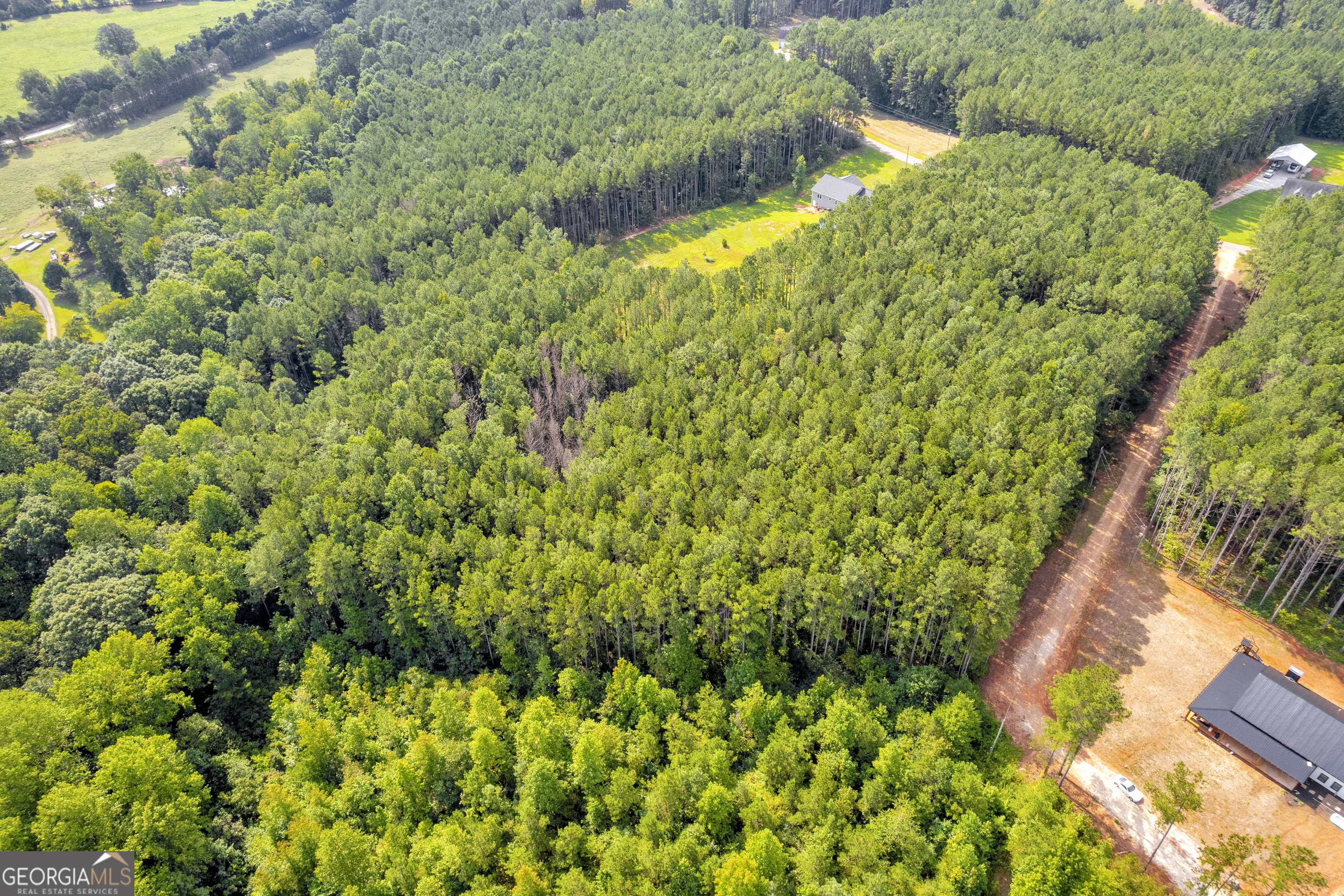 0 Moonlight Drive Toccoa, GA 30577 - Photo 10 of 23 a view of a garden