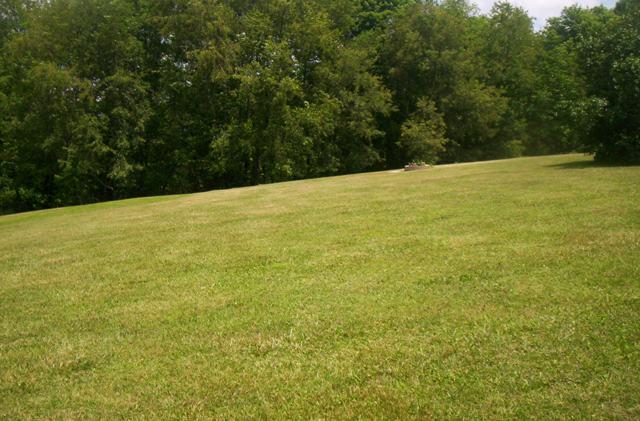 159 Rowan Road White Sulphur Springs, WV 24986 - Photo 8 of 9 Field