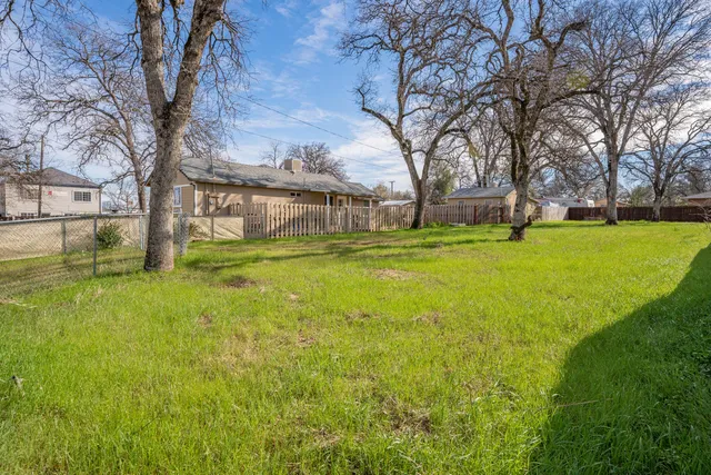 a view of a yard with a large tree