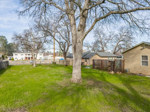 a large tree in front of a white house