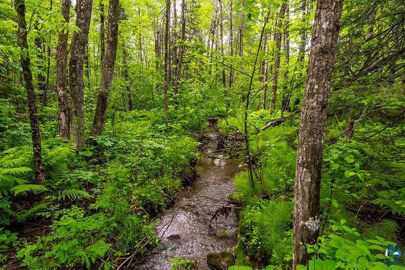 58-xx McQuade Road Duluth, MN 55804 - Photo 22 of 26