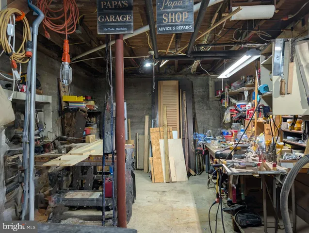 a view of a yard with plants and trees