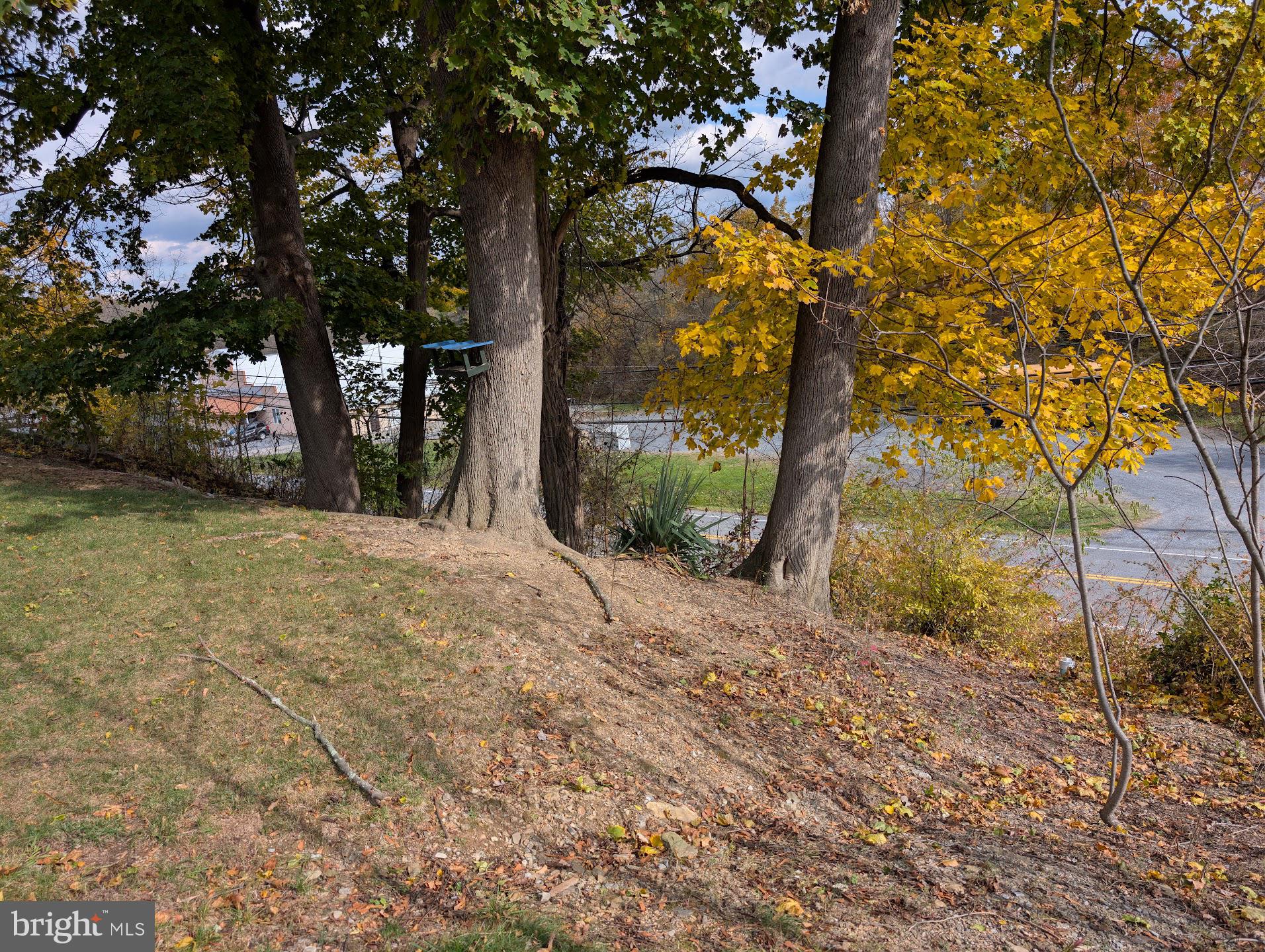 83 State Street Everett, PA 15537 - Photo 29 of 39 a view of a yard with plants and trees
