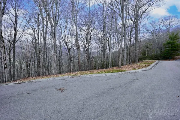 $59,000 | Tbd Lot #46 Tbd Drive, Banner Elk, NC 28604