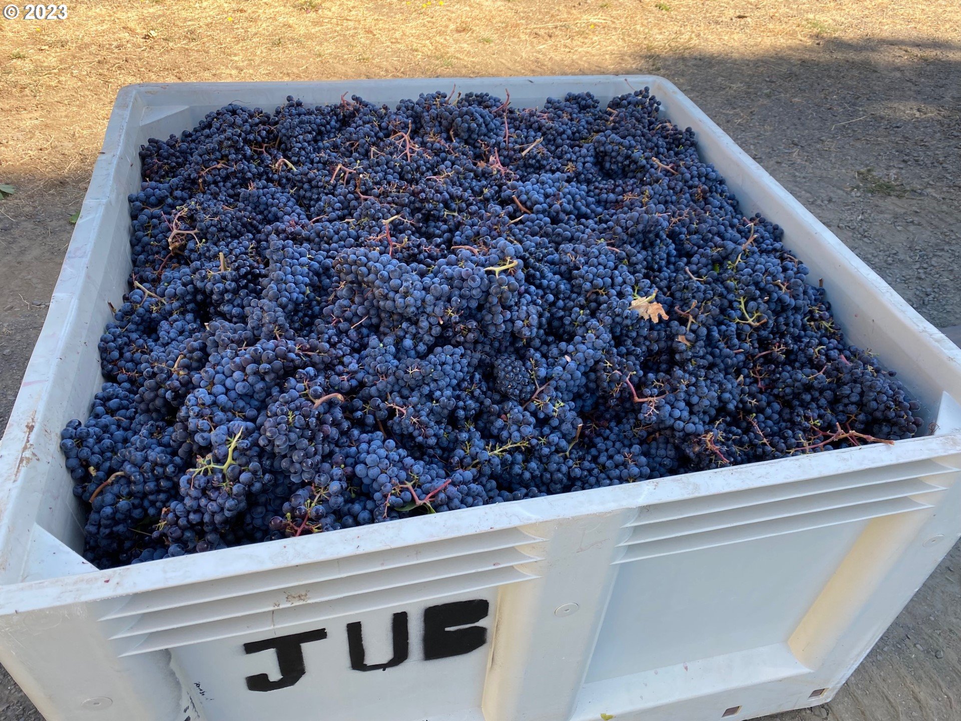 7820 Southeast Amity Road Amity, OR 97101 - Photo 11 of 47