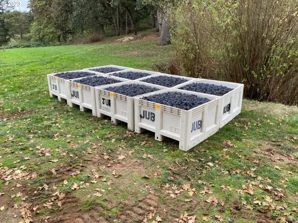 $5,750,000 | 7820 Southeast Amity Road, Amity, OR 97101