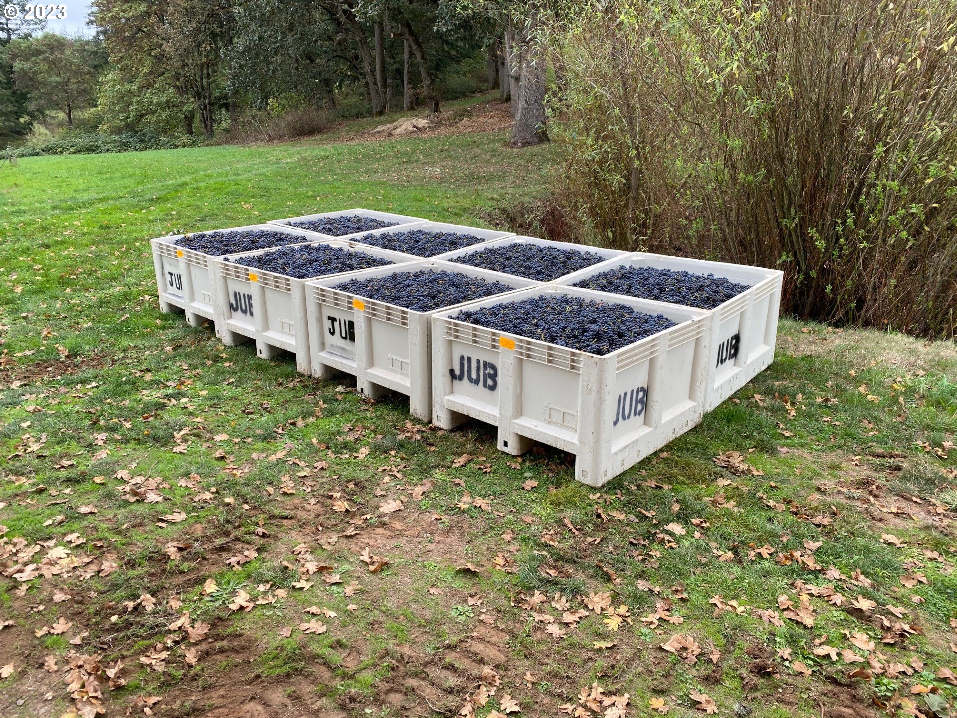 7820 Southeast Amity Road Amity, OR 97101 - Photo 12 of 47