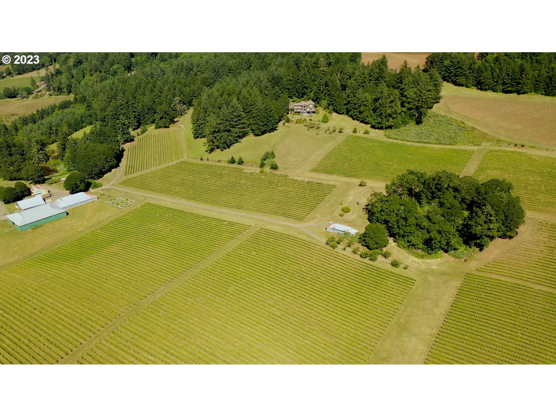 7820 Southeast Amity Road Amity, OR 97101 - Photo 2 of 47