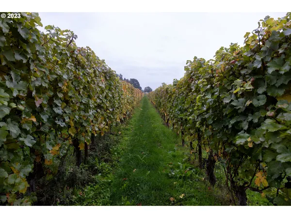 $5,750,000 | 7820 Southeast Amity Road, Amity, OR 97101