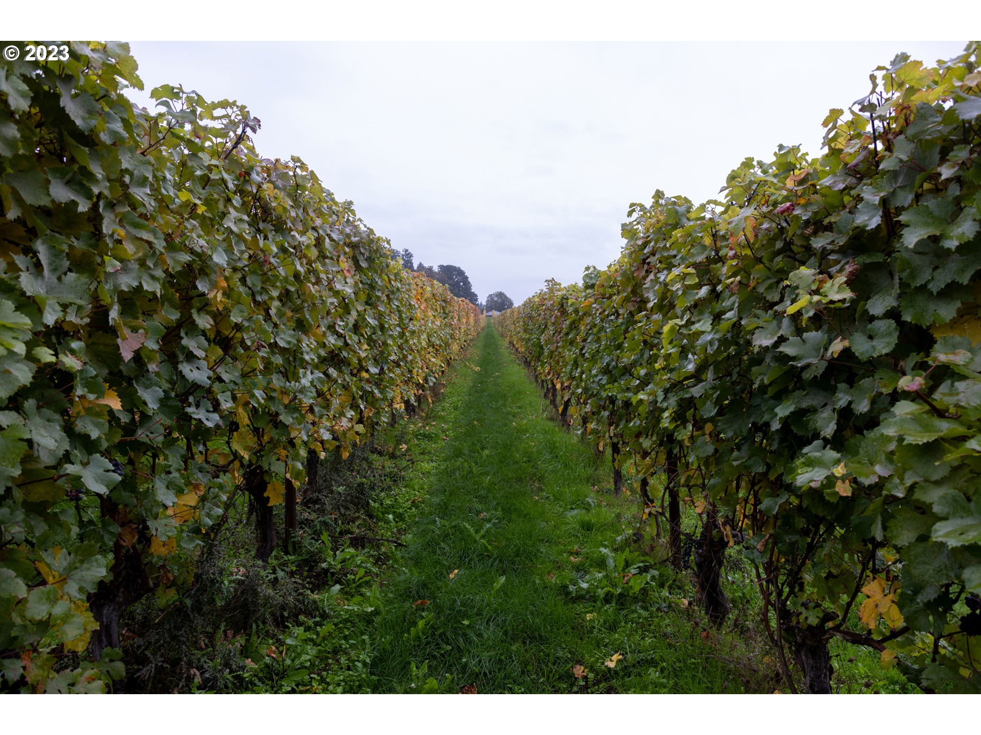 7820 Southeast Amity Road Amity, OR 97101 - Photo 33 of 47