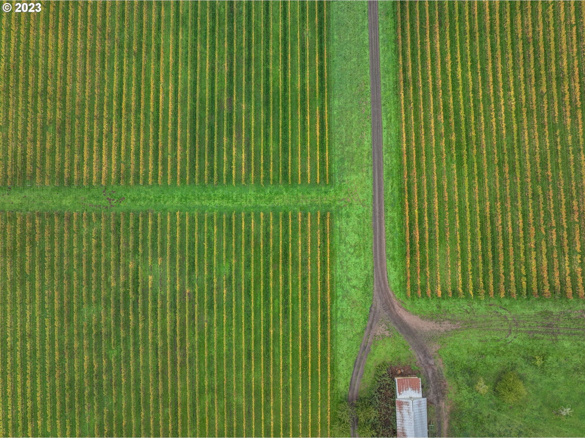 7820 Southeast Amity Road Amity, OR 97101 - Photo 34 of 47