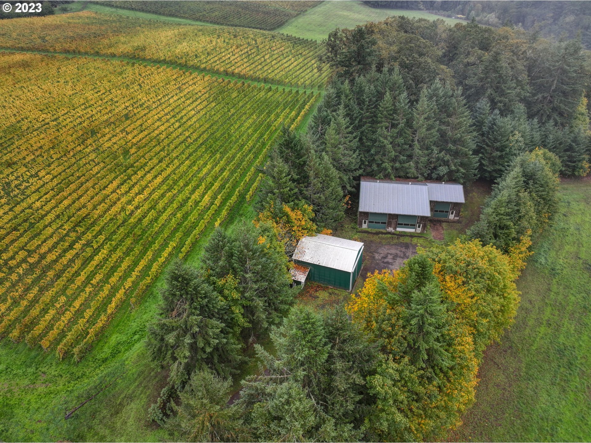 7820 Southeast Amity Road Amity, OR 97101 - Photo 40 of 47