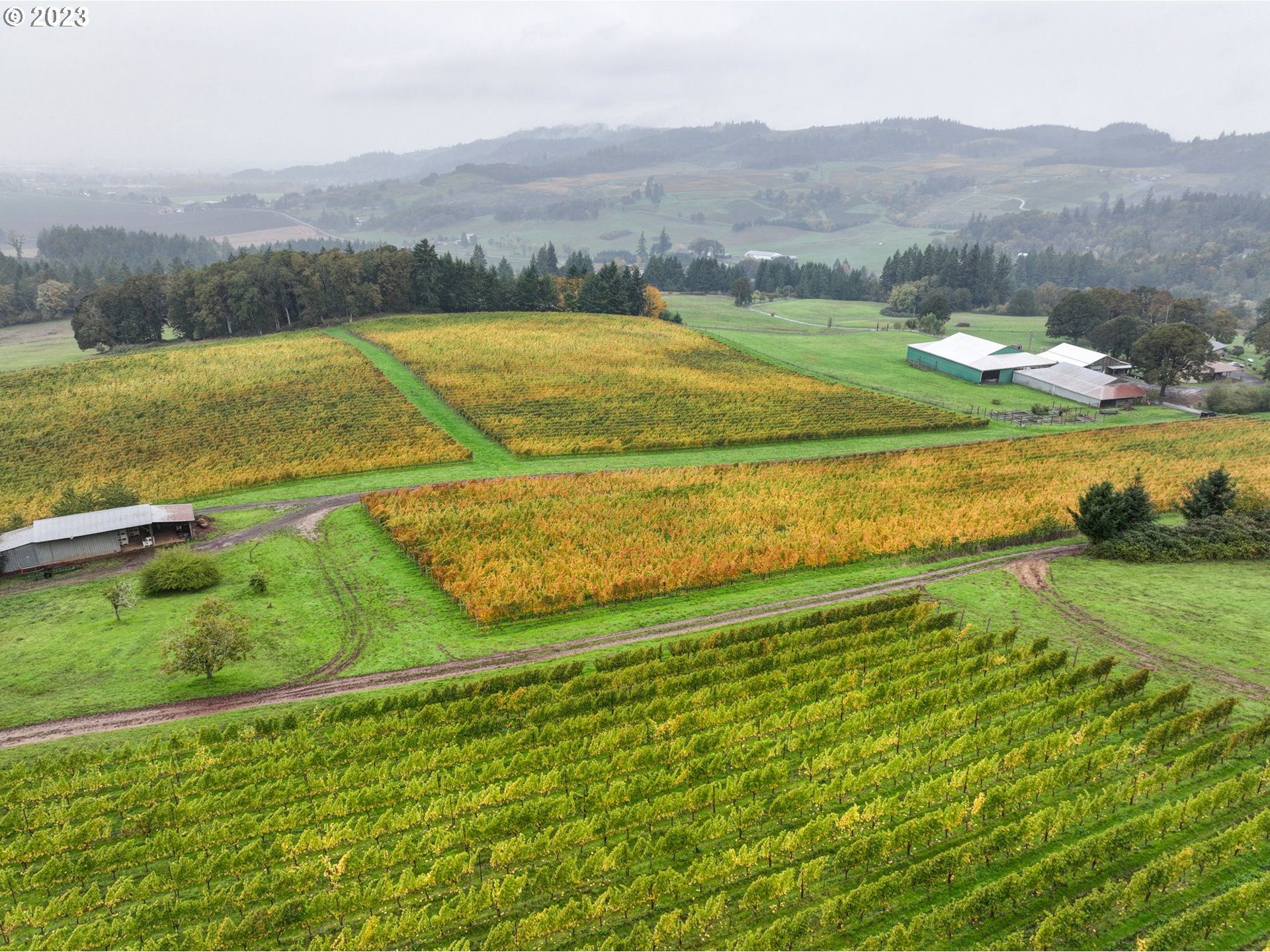 7820 Southeast Amity Road Amity, OR 97101 - Photo 44 of 47