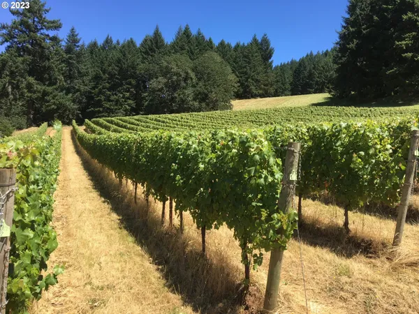 $5,750,000 | 7820 Southeast Amity Road, Amity, OR 97101