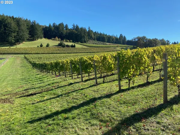 $5,750,000 | 7820 Southeast Amity Road, Amity, OR 97101