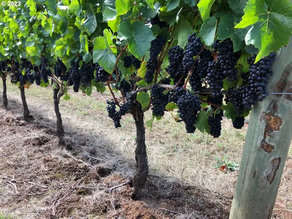 $5,750,000 | 7820 Southeast Amity Road, Amity, OR 97101