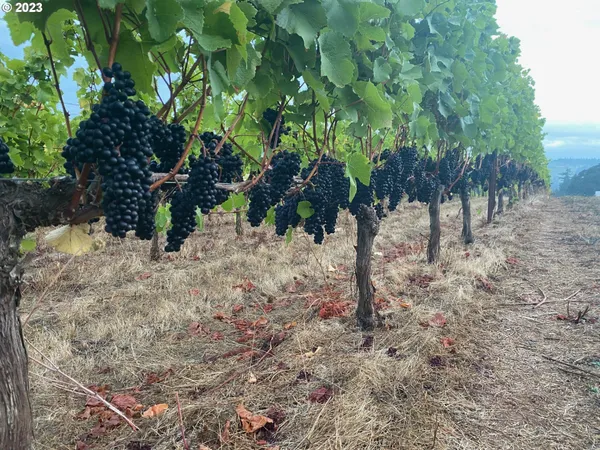 $5,750,000 | 7820 Southeast Amity Road, Amity, OR 97101