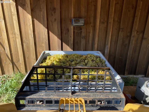 $5,750,000 | 7820 Southeast Amity Road, Amity, OR 97101