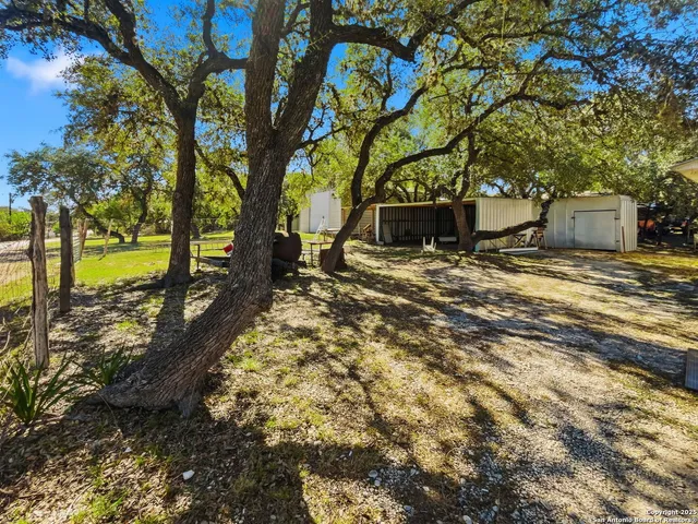 a view of a backyard with large tree