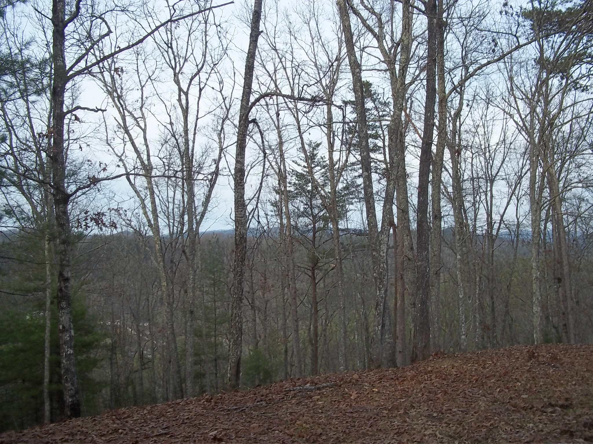 265 Mountain Retreat Road Townsend, TN 37882 - Photo 5 of 5 265 Mountain Retreat Rd