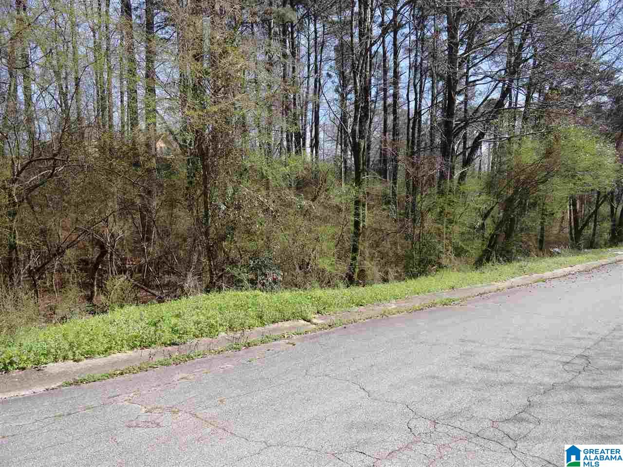 4909 Rilla Lane, Unit 31 Adamsville, AL 35005 - Photo 1 of 1