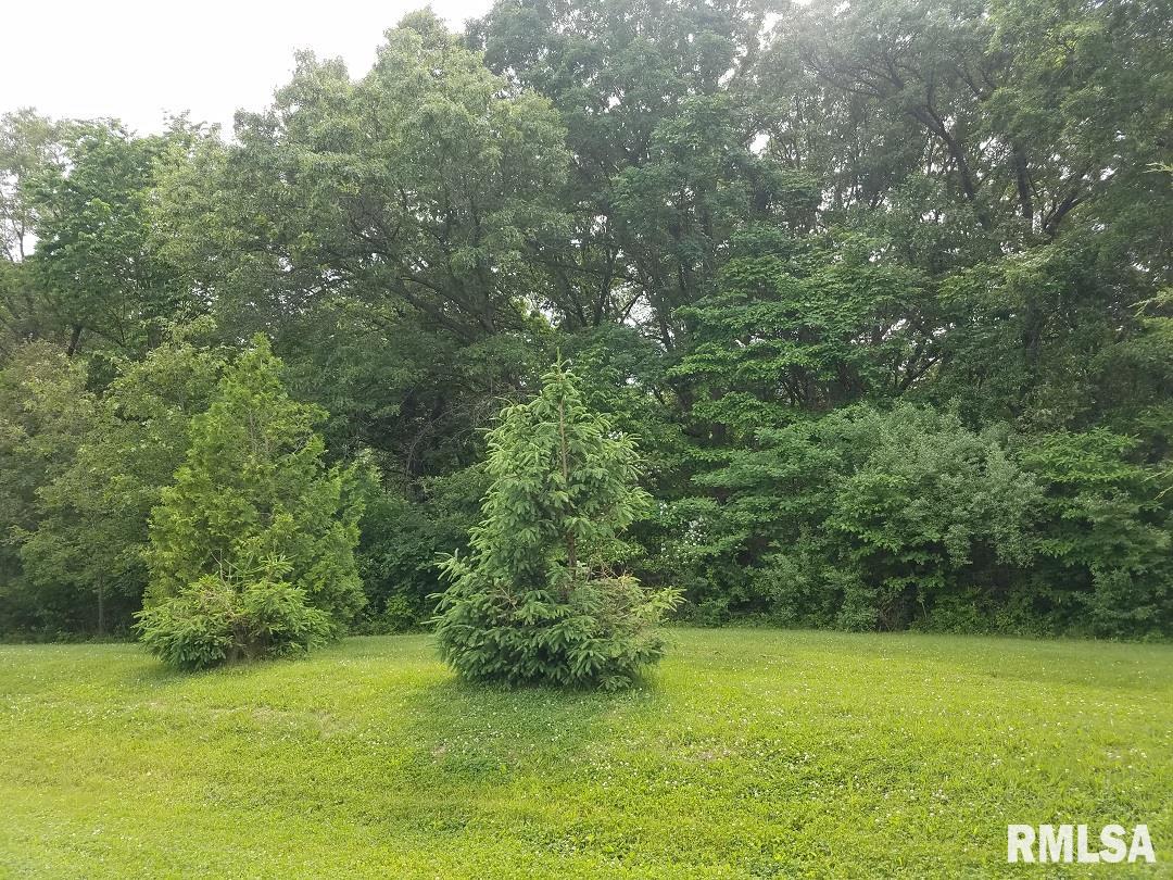 27812 North Karrick Road Glasford, IL 61533 - Photo 16 of 37