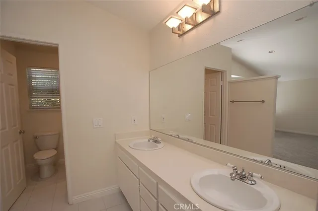 a bathroom with a sink a toilet and a large mirror