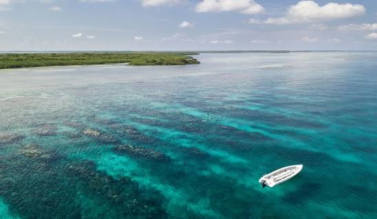 10.67 Acres Island undefined, undefined 99999 - Photo 2 of 3 a view of a lake