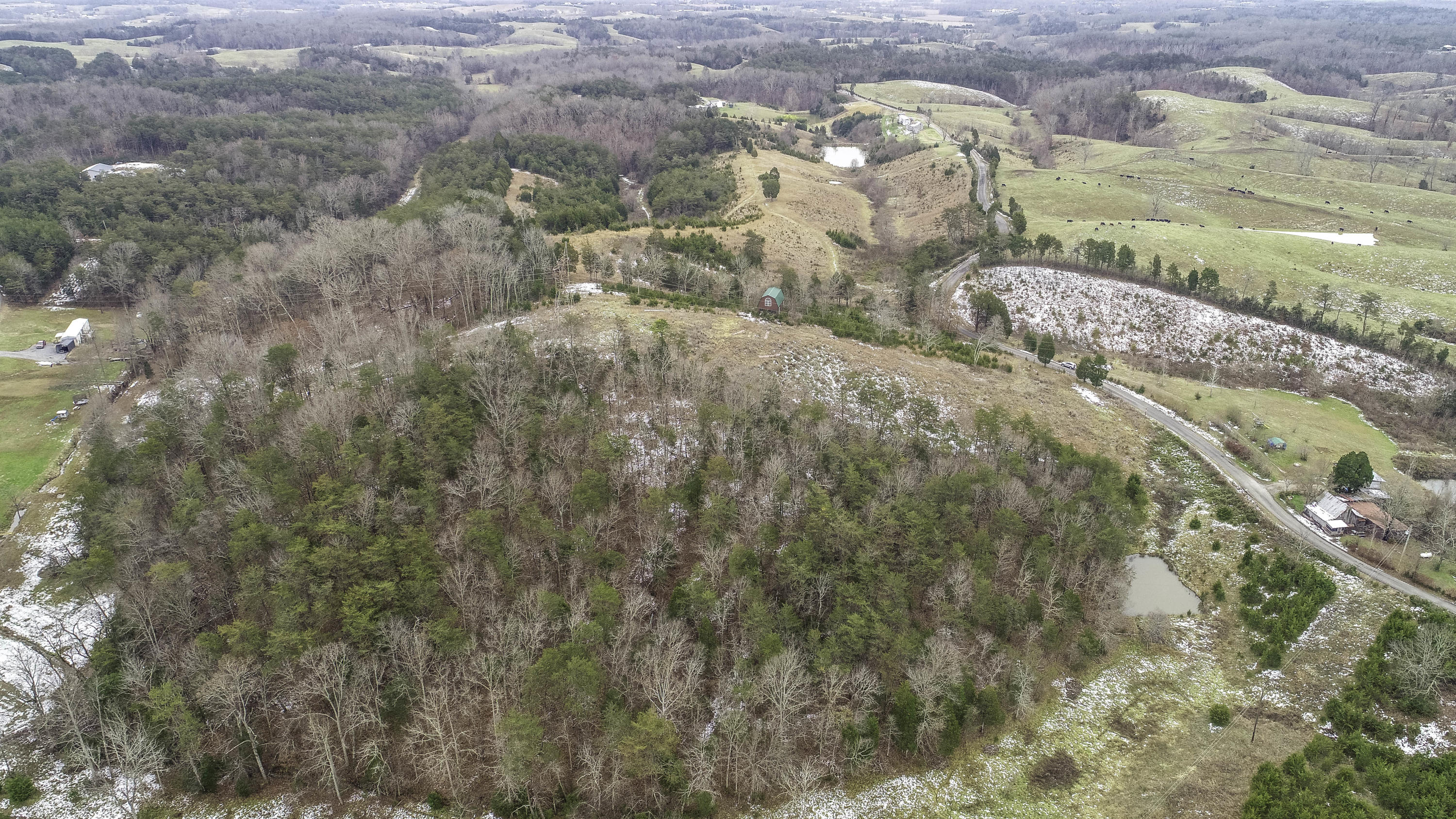 2494 Democrat Road Mohawk, TN 37810 - Photo 4 of 8 DJI_0022