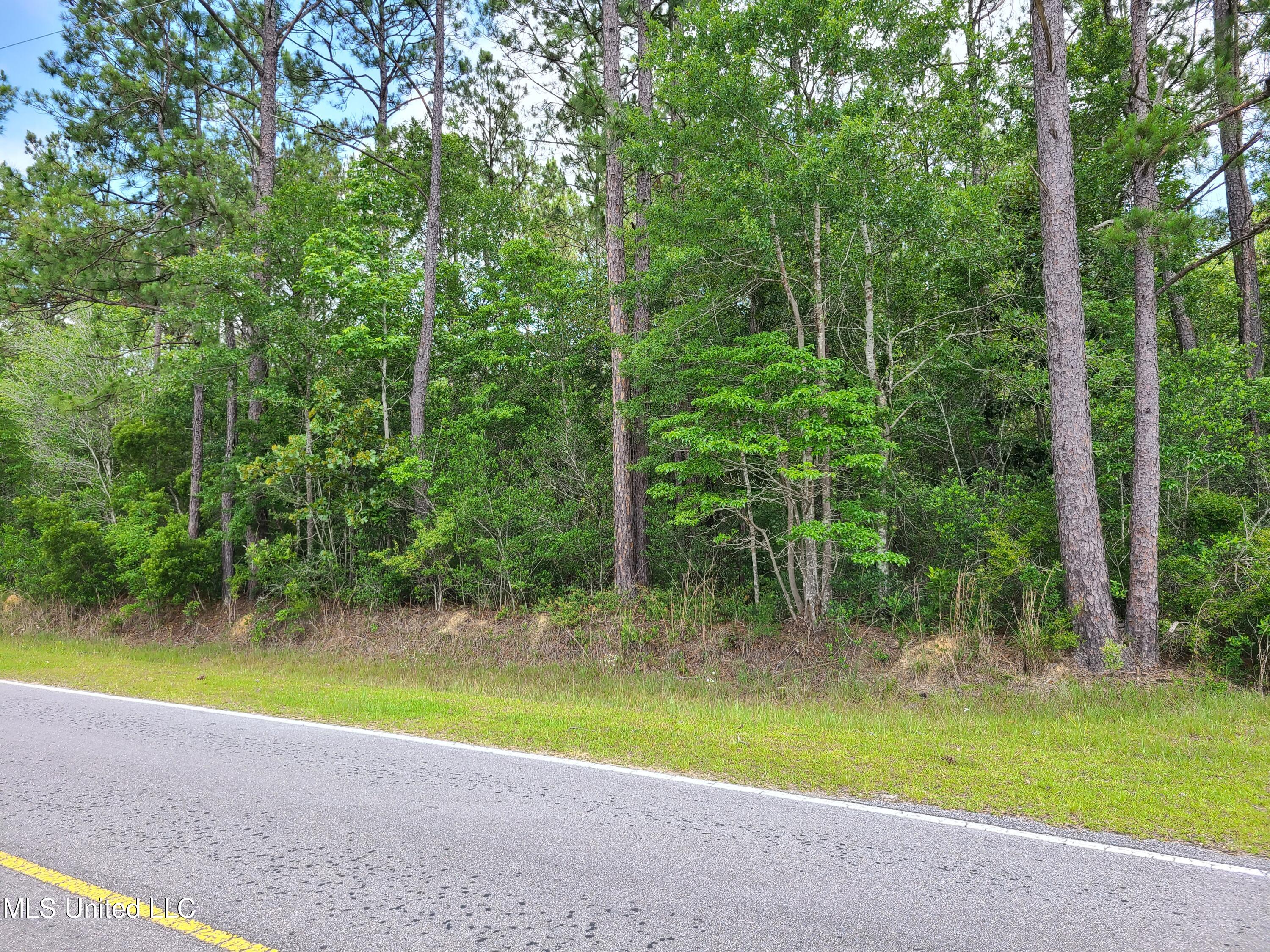 Nhn Broome School Road Perkinston, MS 39573 - Photo 3 of 5 9 Acres III