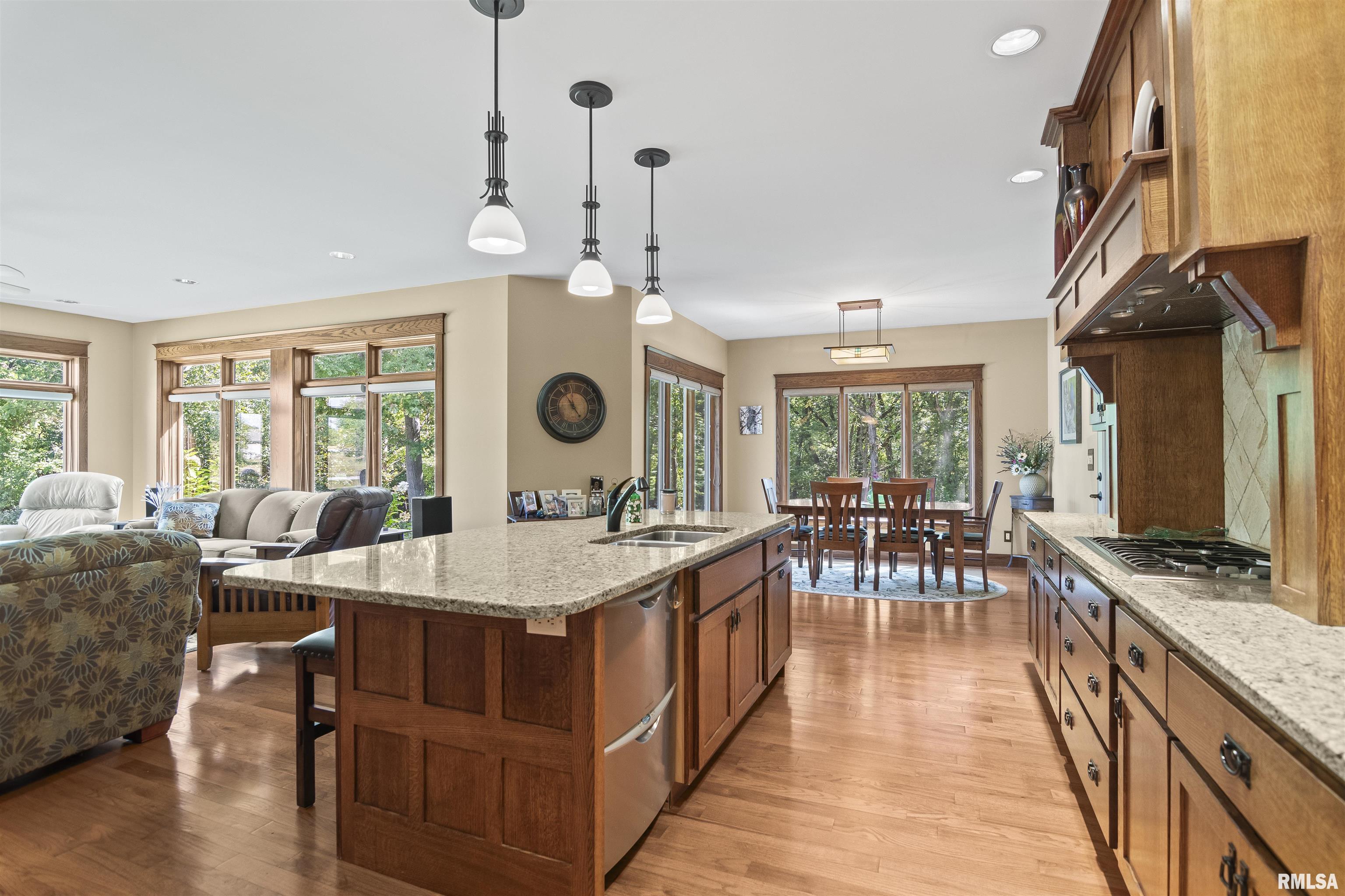 17579 Timber Ridge Lane Petersburg, IL 62675 - Photo 19 of 55 Gallery Image 19
