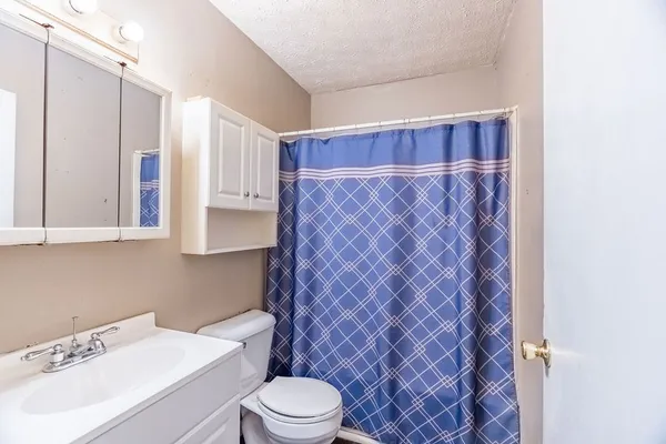 a bathroom with a sink a toilet and shower curtain