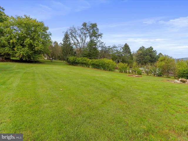 a view of a field with trees in the background